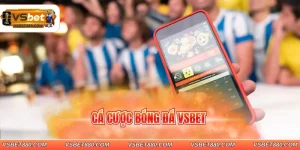 cá cược bóng đá VSBET