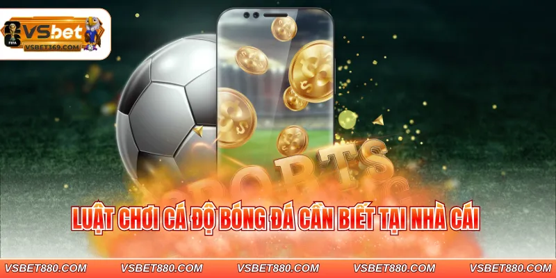 Luật chơi cá độ bóng đá cần biết tại nhà cái