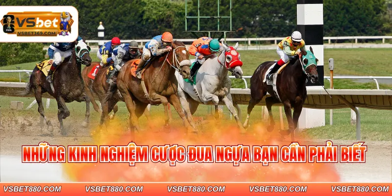 Những kinh nghiệm cược đua ngựa bạn cần phải biết